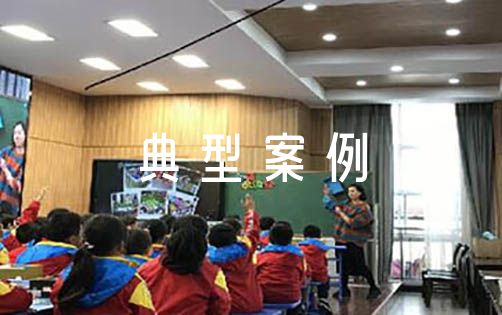 中小学党建工作典型案例【6篇】