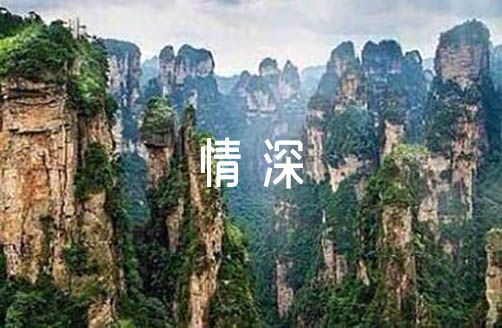 哥们感情深厚的句子范文三篇