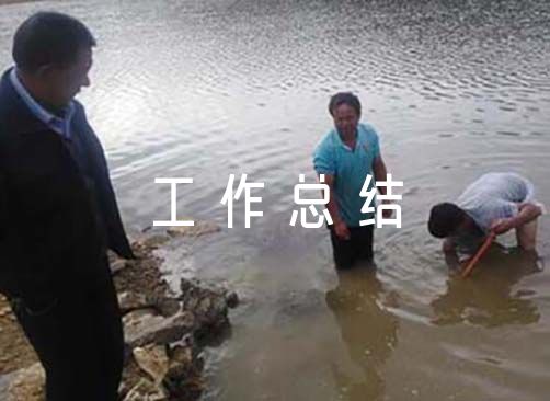 2023年财务科长个人工作总结六篇