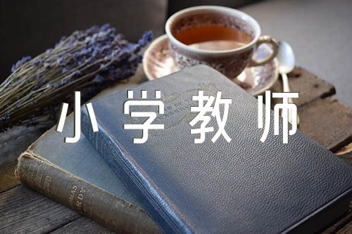 小學教師教學感悟隨筆范文(精選六篇)