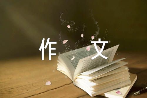 關于暴雨小學作文【三篇】