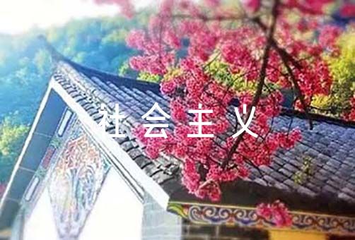 中国特色社会主义新时代心得体会范文(通用3篇)