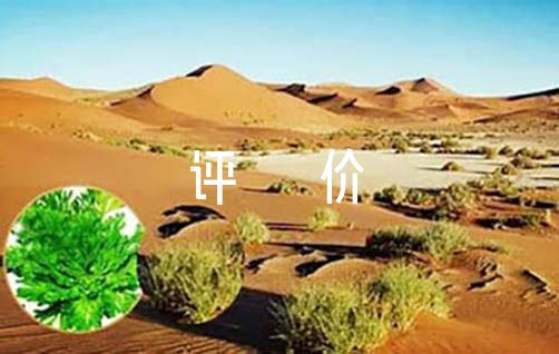 遵规守纪方面自我评价100字【三篇】