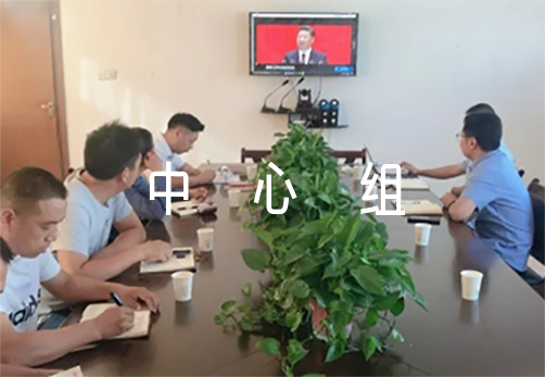 2022年党委理论中心组学习总结范文(精选6篇)