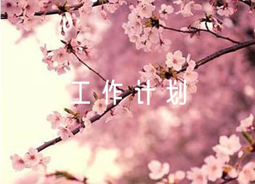 小学学校安全工作计划范文(通用4篇)