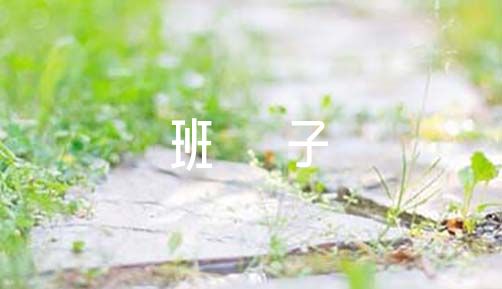 对四套班子及主要领导的评价【六篇】