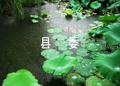县委班子总体评价简短范文(精选3篇)
