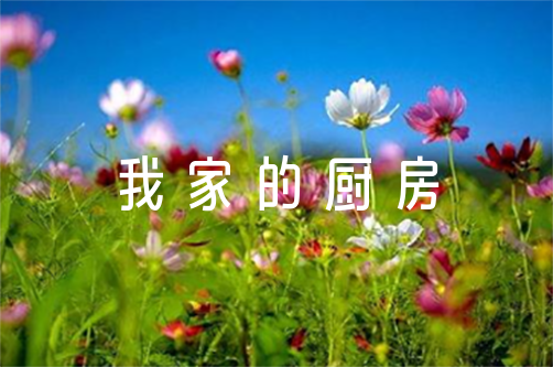 《我家的厨房》教学设计范文(精选3篇)