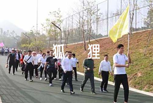 狐狸和乌鸦续写300字作文【5篇】