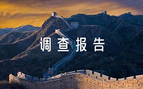 调查报告2000字集合6篇