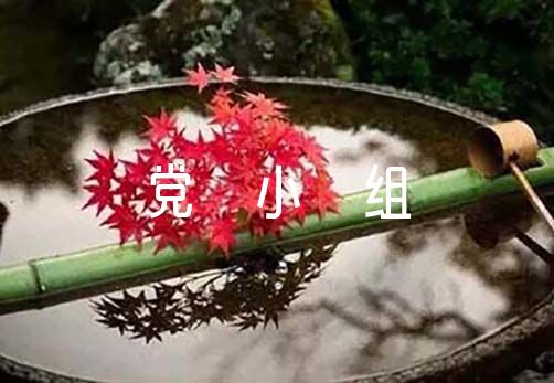 6月党小组学习会议记录6篇