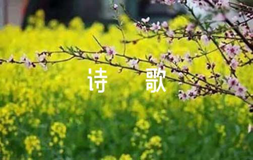 争做新时代好少年诗歌朗诵范文(精选11篇)