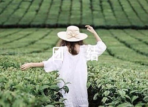民族团结进步宣传教育活动实施方案范文三篇