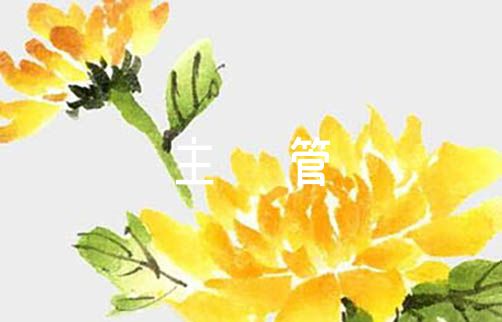 教学主管岗位职责6篇