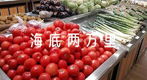 《海底两万里》航海日记400字集合5篇