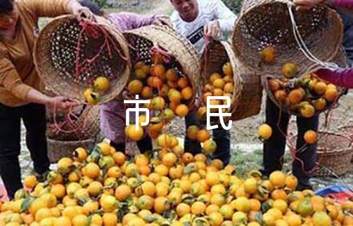 关于文明市民事迹材料【六篇】