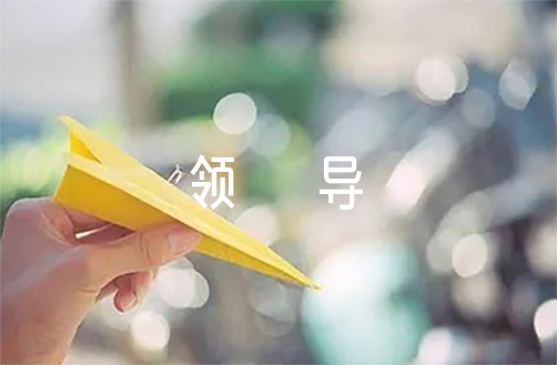 对领导的评价意见范文(通用11篇)