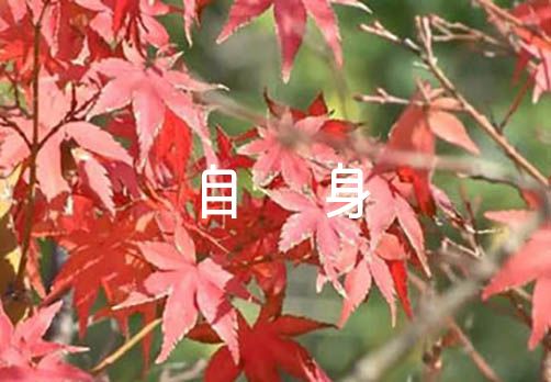 关于纪检加强学习提高自身素质【六篇】