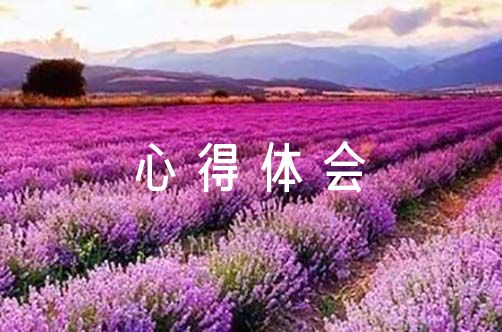 亮剑前十五集心得体会300字范文(通用6篇)