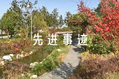 教师禁毒先进事迹材料范文十二篇