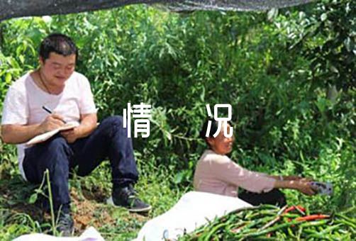2023年支部组织生活会情况报告【三篇】