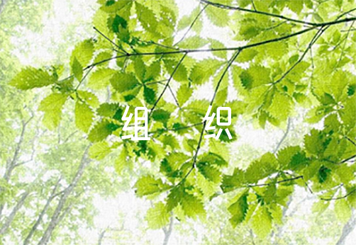 组织生活会个人问题清单五篇
