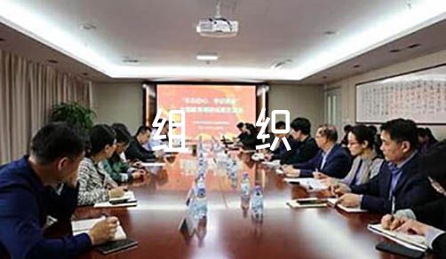 在发挥政治功能和组织力方面存在的问题【12篇】
