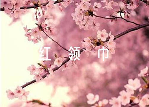 关于红领巾奖章二星章个人主要事迹【十一篇】