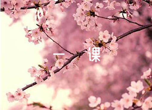 2023年三会一课工作计划范文(精选4篇)
