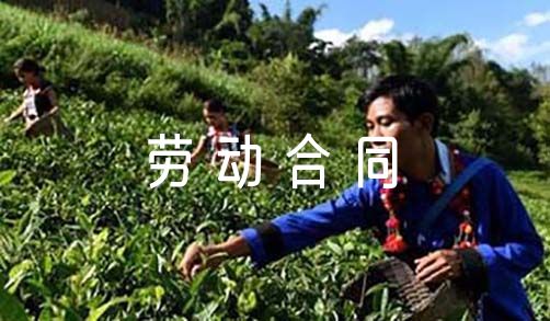 关于劳动合同解除证明【十一篇】