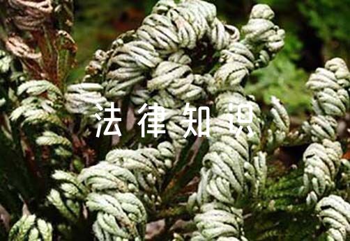 法律知识大全资料八篇