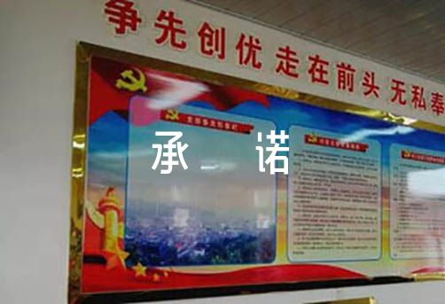 党员个人整改承诺(通用9篇)