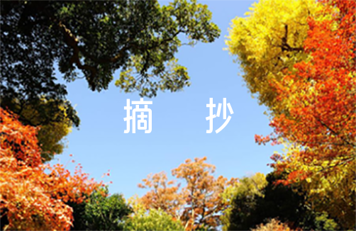 美文摘抄400字七篇