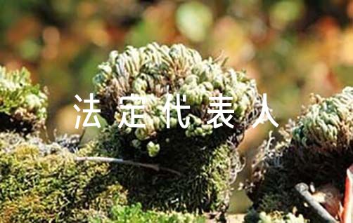 法定代表人授权书【12篇】