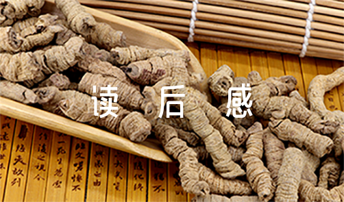阿米巴经营读后感【荐】