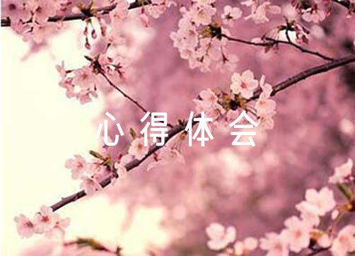 中央八项规定心得体会100字八篇