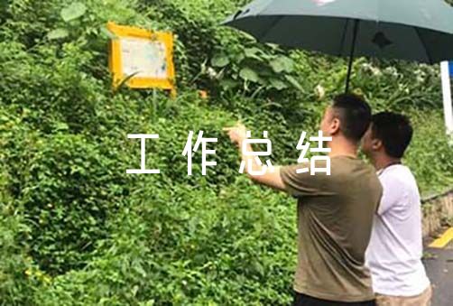 年度个人工作总结简短范文【11篇】