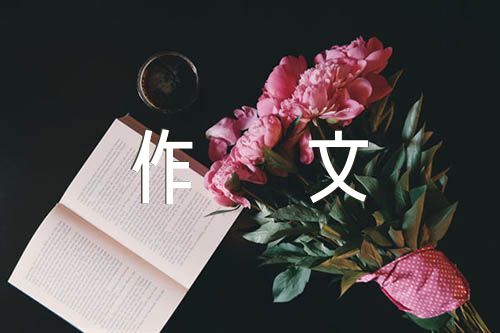 感恩作文500字范文汇总六篇