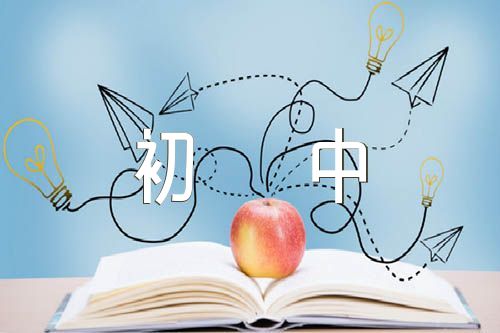 日记300字初中(通用8篇)