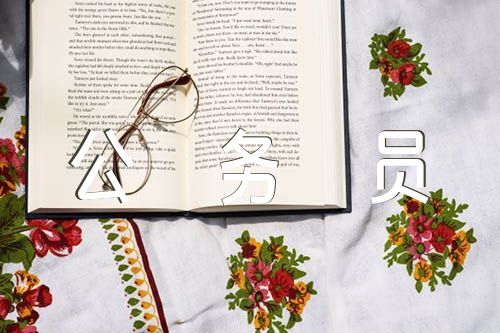 個人工作總結(jié)公務員【匯編四篇】