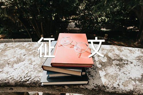 扫黑除恶征文1000字精选四篇