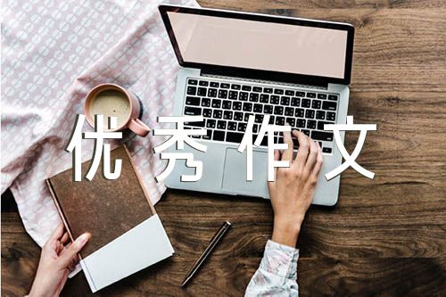 优秀作文300字精选4篇