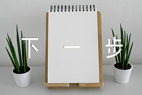 关于乡镇人大年度工作总结及下一步工作规划精选六篇
