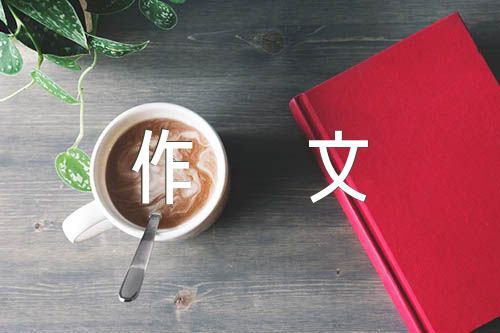 高中作文800字范文汇总六篇