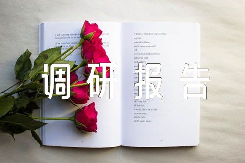 聚焦主题教育领导调研报告锦集七篇