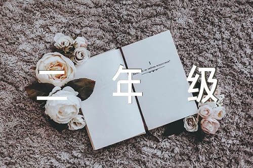 关于小学生二年级日记【四篇】