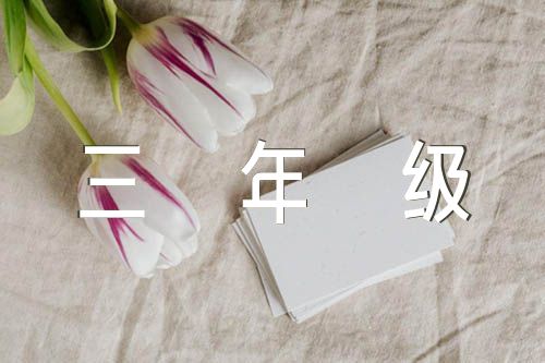 放风筝作文三年级汇编9篇
