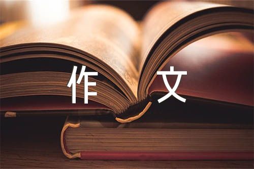 开会感想心得作文100字范文汇总三篇