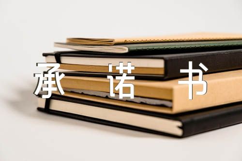 組織生活會問題整改承諾書