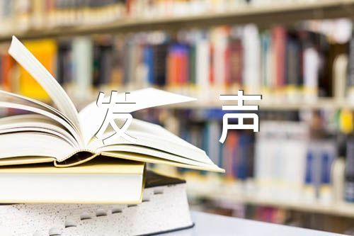 民族团结社会稳定的发声亮剑(合集五篇)